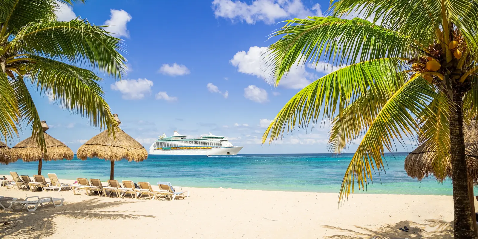 Tropisk strand med palmer og cruiseskip