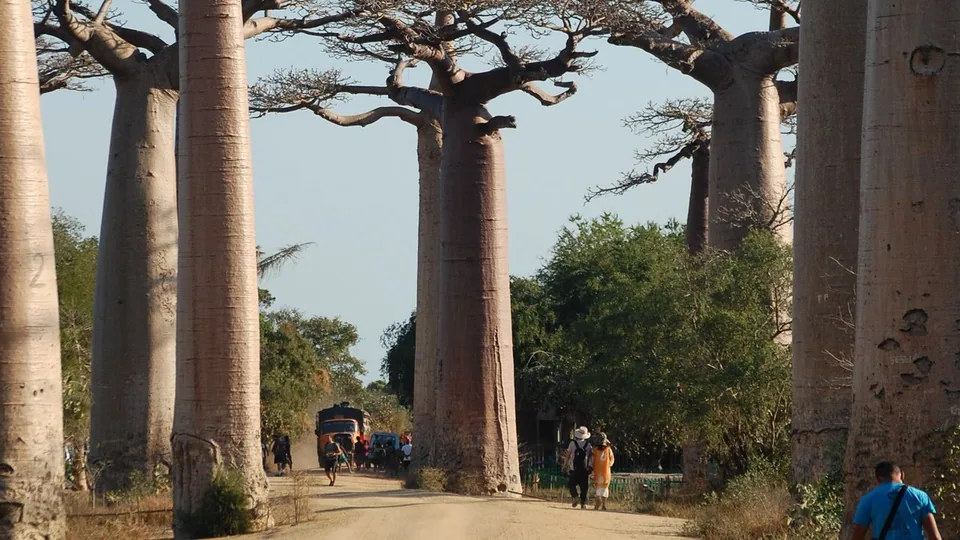 Madagaskar – reisemål i Afrika
